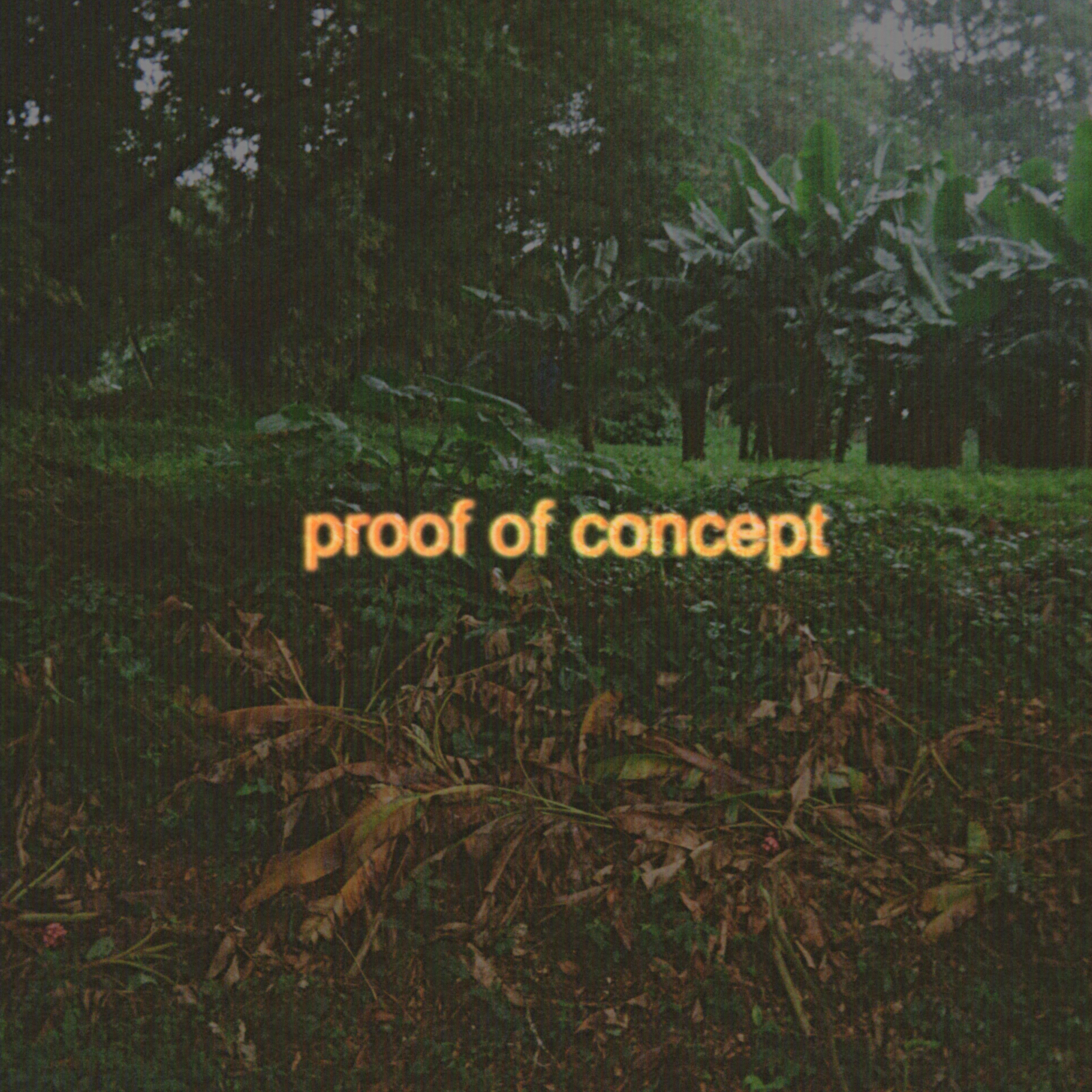 Album art for Proof of Concept